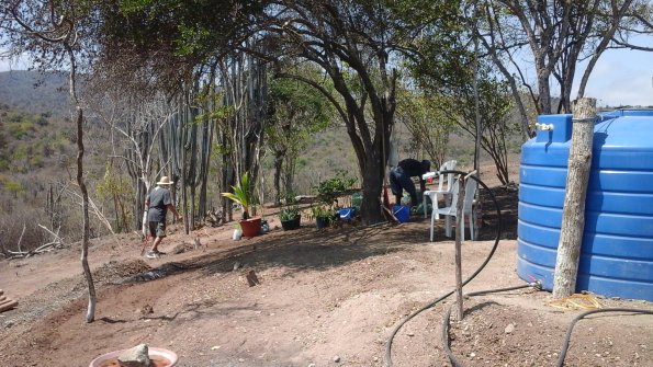 Planting grass in our garden on the hill